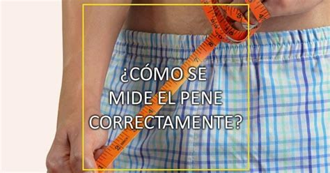 polla 21cm|Tamaño medio del pene. Longitud y circunferencia por país.